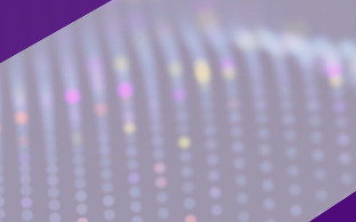 Navigating Compliance and AI